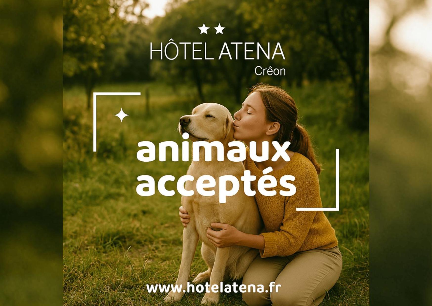 Atena Bordeaux Sud Est Creon - Velo Friendly Ngoại thất bức ảnh