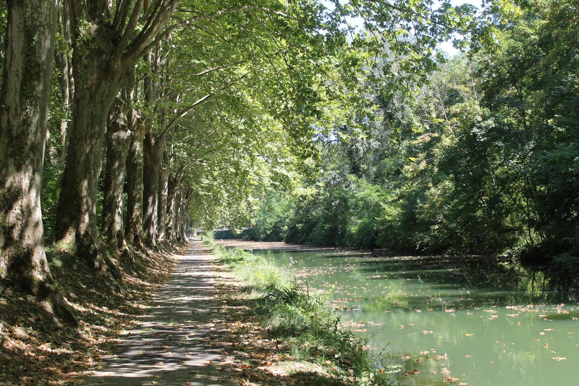 Atena Bordeaux Sud Est Creon - Velo Friendly Ngoại thất bức ảnh